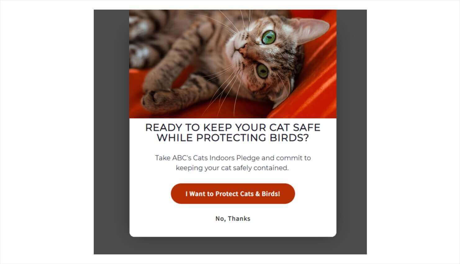 american-bird-conservancy-indoor-cats-pledge - OptinMonster American Bird Conservancy popup that says "Ready to keep your cat safe while protecting birds? Take ABC's Cats Indoors Pledge and commit to keeping your cat safely contained." Bit CTA button says "I want to protect Cats & Birds!" Below, linked text reads "No, thanks"