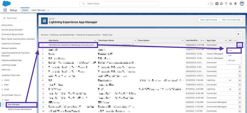 Salesforce Connected Apps. - OptinMonster Salesforce Connected Apps.