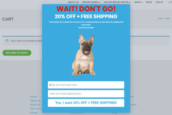 Exit popup free shipping - OptinMonster Exit popup free shipping