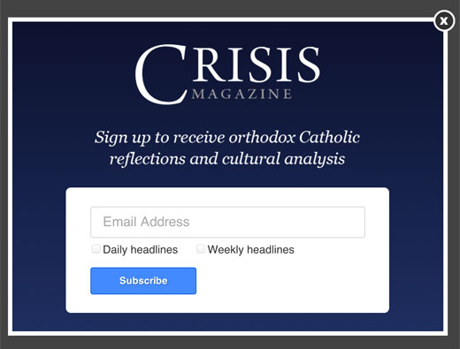 Checkbox Fields in OptinMonster - OptinMonster Checkbox Fields in OptinMonster