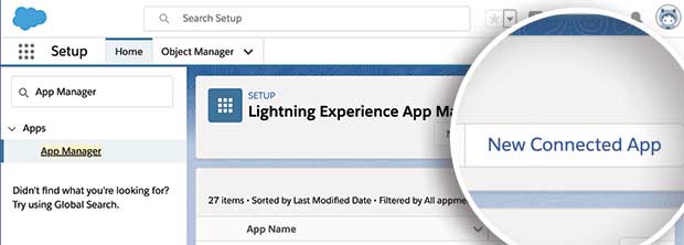 Salesforce New Connected App button - OptinMonster Salesforce New Connected App button
