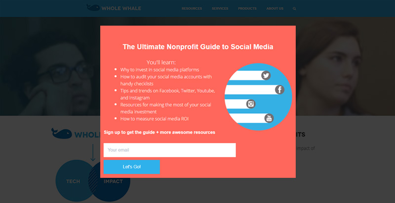 wholewhale-exit-intent - OptinMonster Exit Intent Optins help recover abandoning visitors