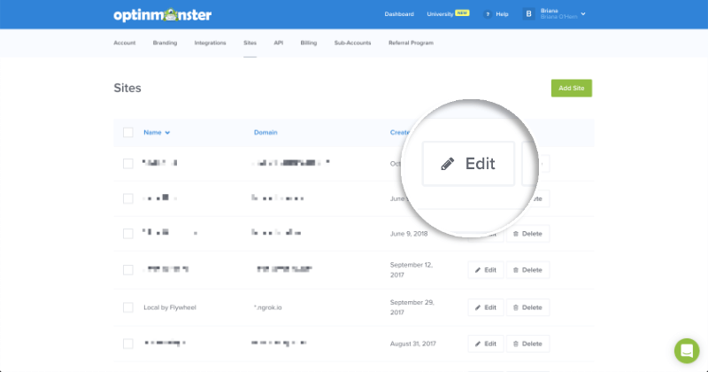 08-edit-site - OptinMonster Edit Site