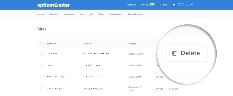 10-delete-site - OptinMonster Delete Site