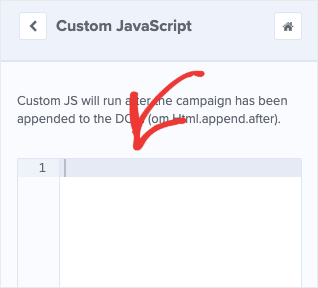 Add Custom JavaScript to Your Campaign-min - OptinMonster Add Custom JavaScript to Your Campaign