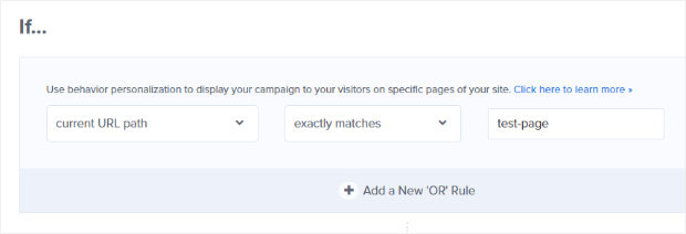 current-url-path-exactly-matches-test-page - OptinMonster currently url path exactly matches display rule