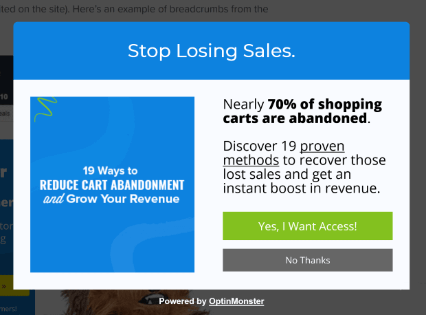 ecom lead_optin campaign-min - OptinMonster ecommerce lead generation