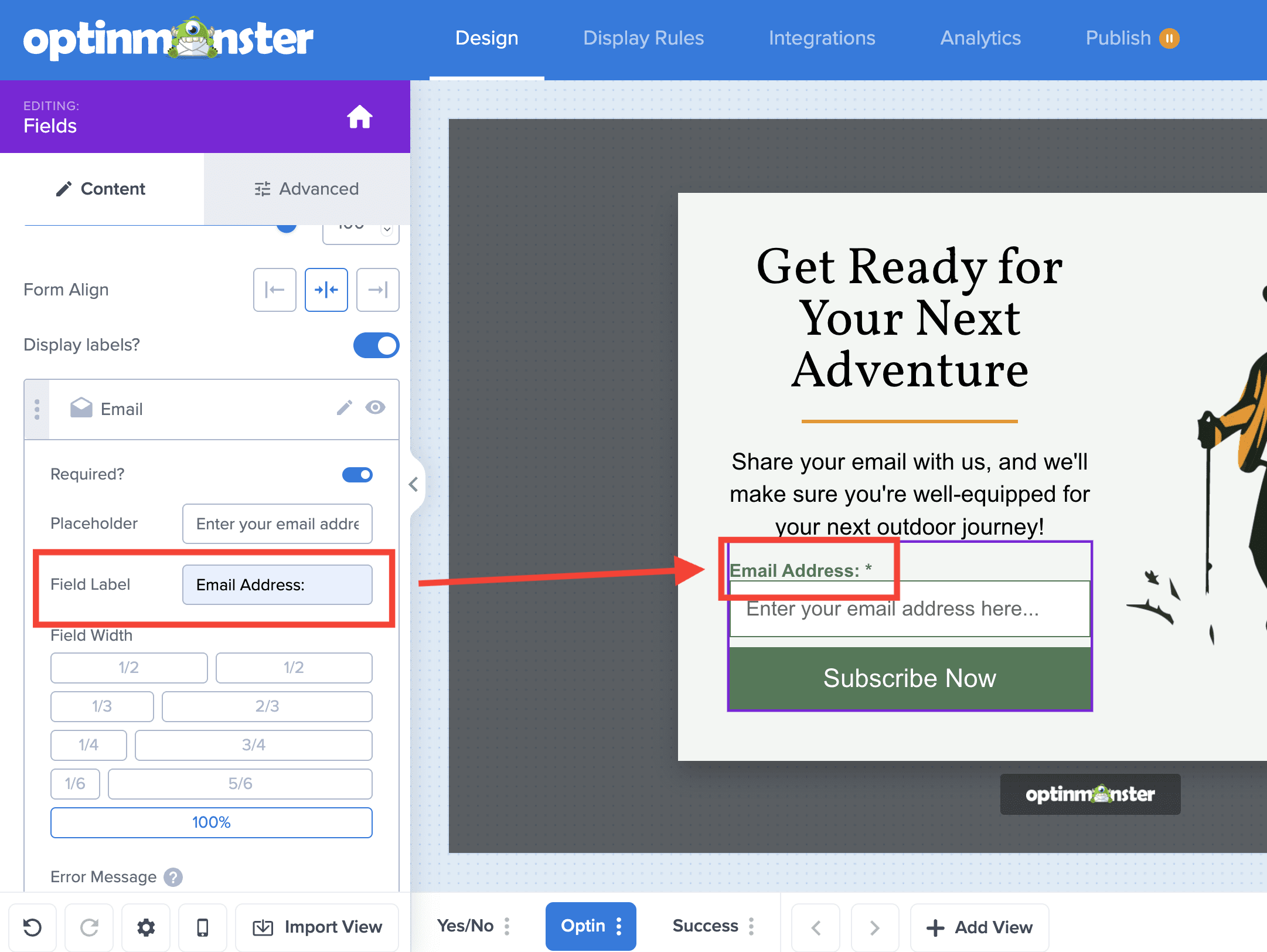 Field Label - OptinMonster