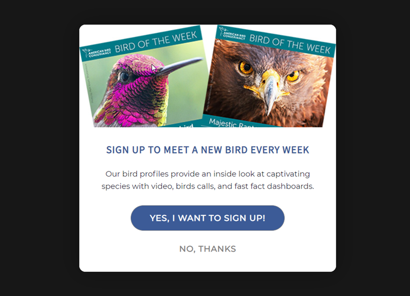 image2 - OptinMonster image2