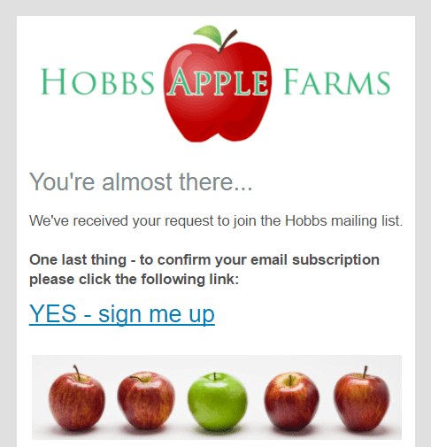 opt04 - OptinMonster gdpr double opt-in example