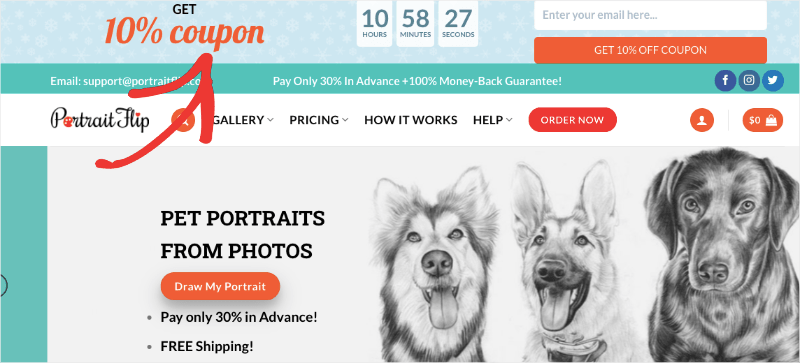 portraitflip floating bar-min - OptinMonster portraitflip floating bar